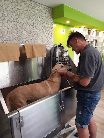 Hundesalon FellCheck
