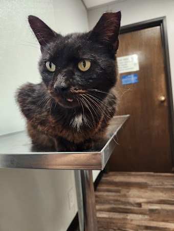 Eagle Mountain Veterinary Clinic