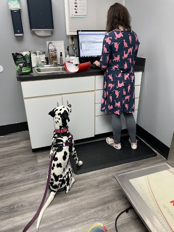 North Laurel Animal Hospital