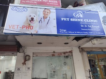 Pet shine clinic