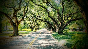 Aiken