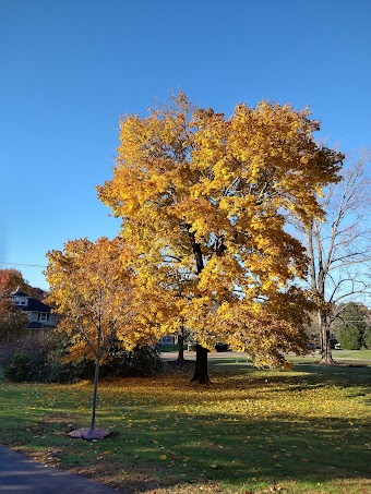 Walpole