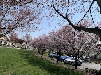 Plainsboro Township