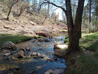 Payson