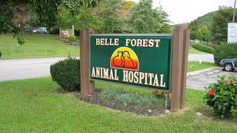 Belle Forest Animal Hospital