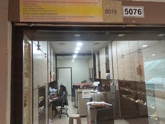 Plus Value India - Vastu Products, Healing Crystals, Feng Shui Items