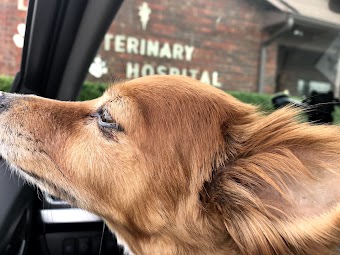 Lucas Veterinary Hospital