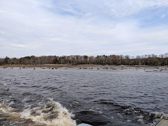 Maurice River