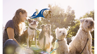 South Bay Veterinary Hospital