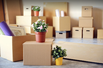 Pro Movers LLC