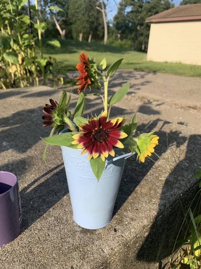 Petals & Pumpkins, LLC